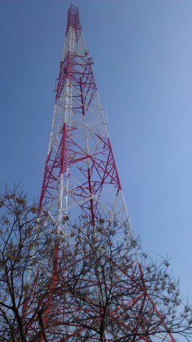 warid-msc